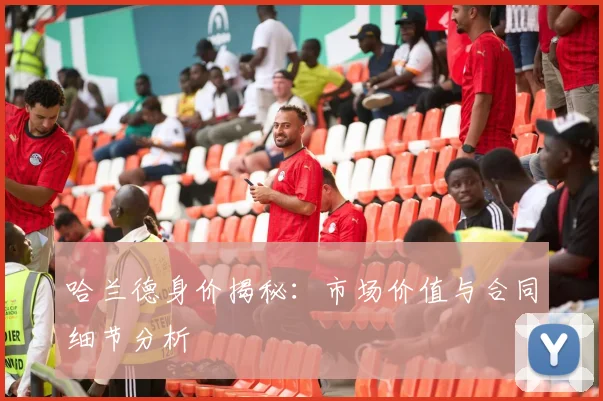 哈兰德身价揭秘：市场价值与合同细节分析